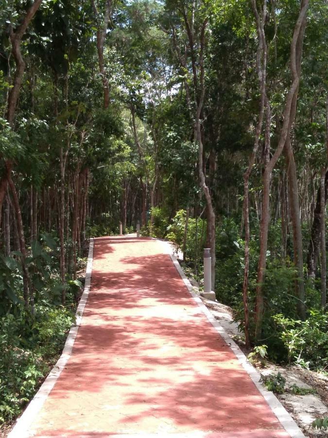 Playa Del Carmen Appartamento Esterno foto